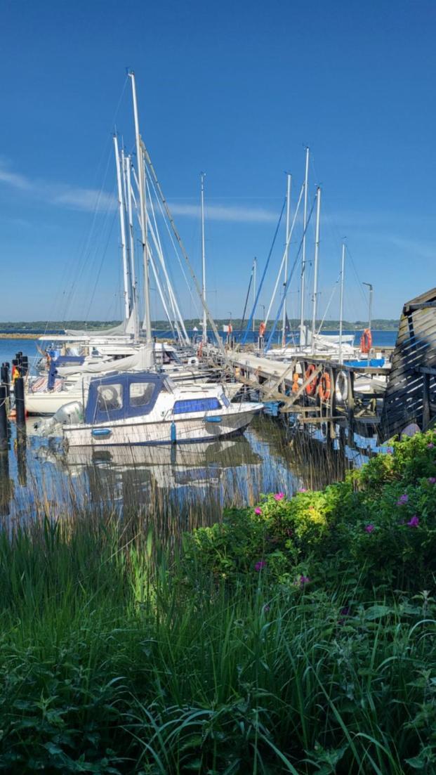 Kurpark Appartement Glücksburg Eksteriør bilde